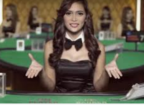 8868网页登录入口最新版